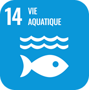 Lutte aquatique